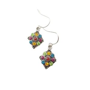 Multicolored Silver Earrings